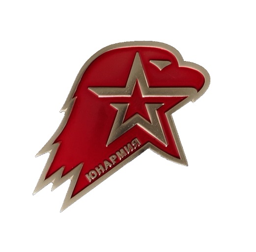 Значок Юнармия средний