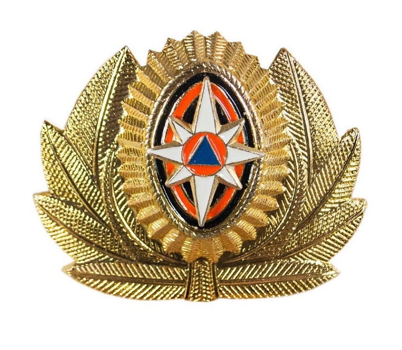 Кокарда МЧС большая (в венке)